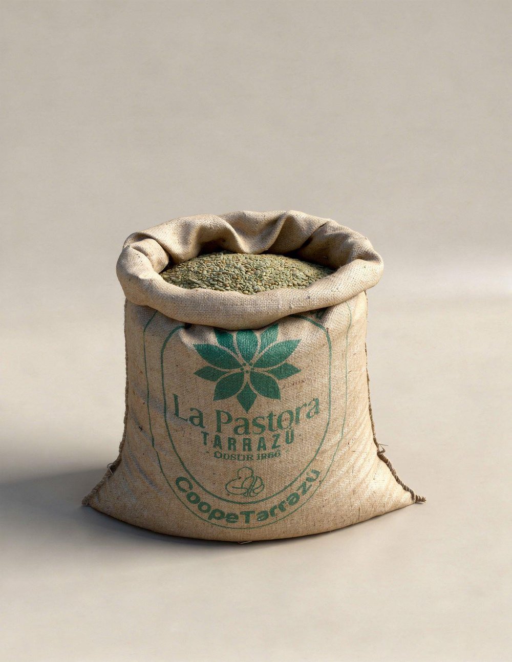 Costa Rica Arabica SHB Green Coffee – 1 Sack 60 kg