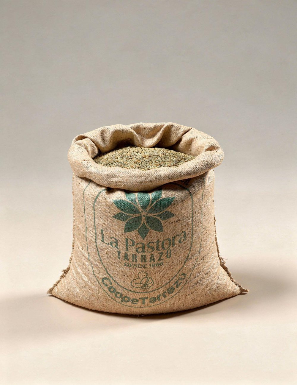 Costa Rica Arabica SHB Green Coffee – 1 Sack 60 kg
