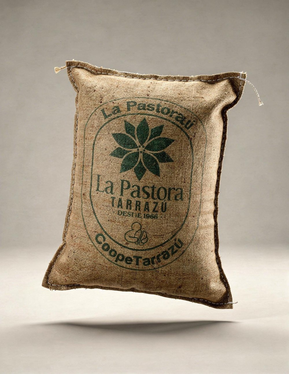 Costa Rica Arabica SHB Green Coffee – 1 Sack 60 kg