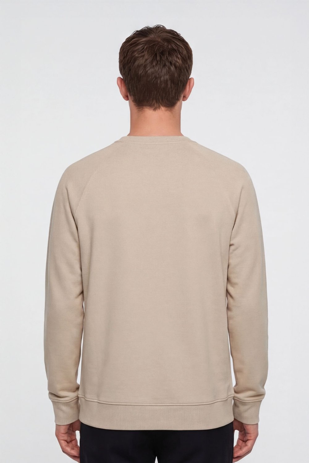 Giotelli Erkek Ekru Normal Kesim Regular Fit %100 Pamuk Örme Bisiklet Yaka Sweatshirt