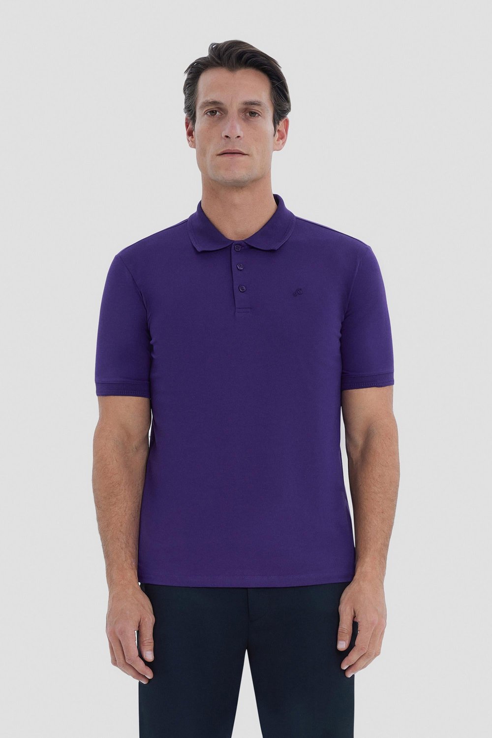 Erkek Mor Normal Kesim Regular Fit Pamuklu Örme Basic Polo Yaka Tişört