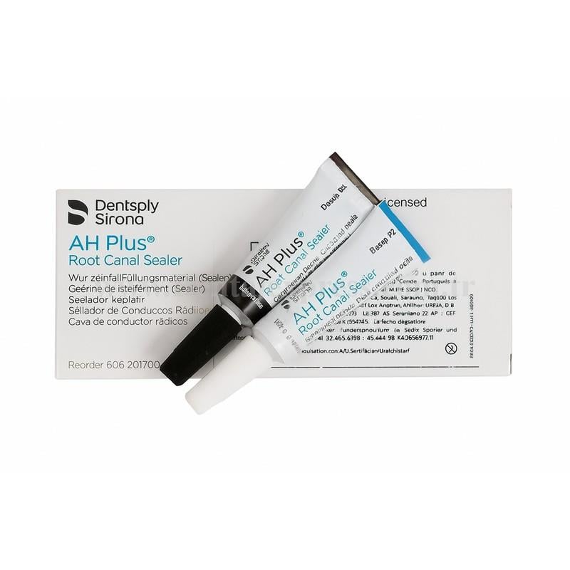 Dentsply AH Plus Kanal Dolgu Patı 2x4 ml