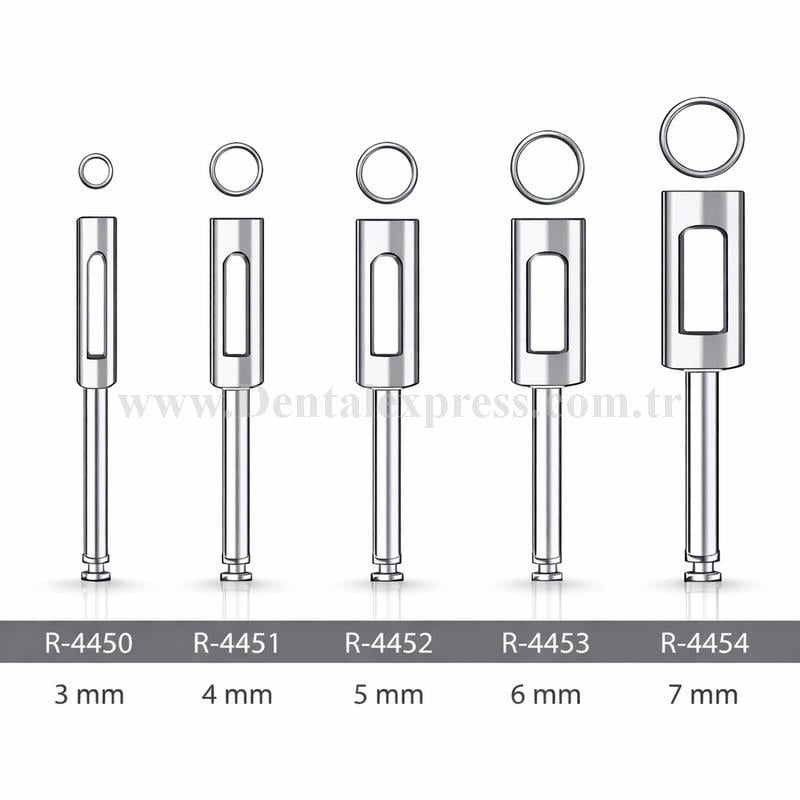 Raven Dental Doku Punch