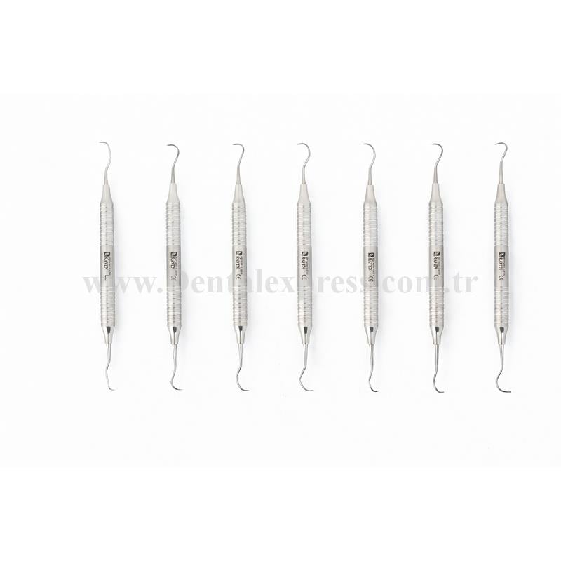 Raven Dental Periodontal Gracy Küret Seti