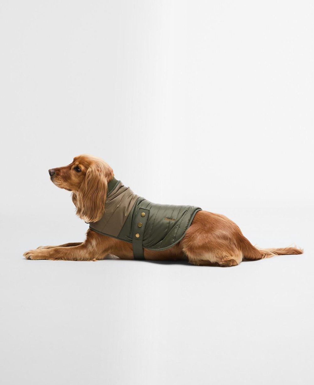 Barbour Brampton Kapitone Köpek Montu