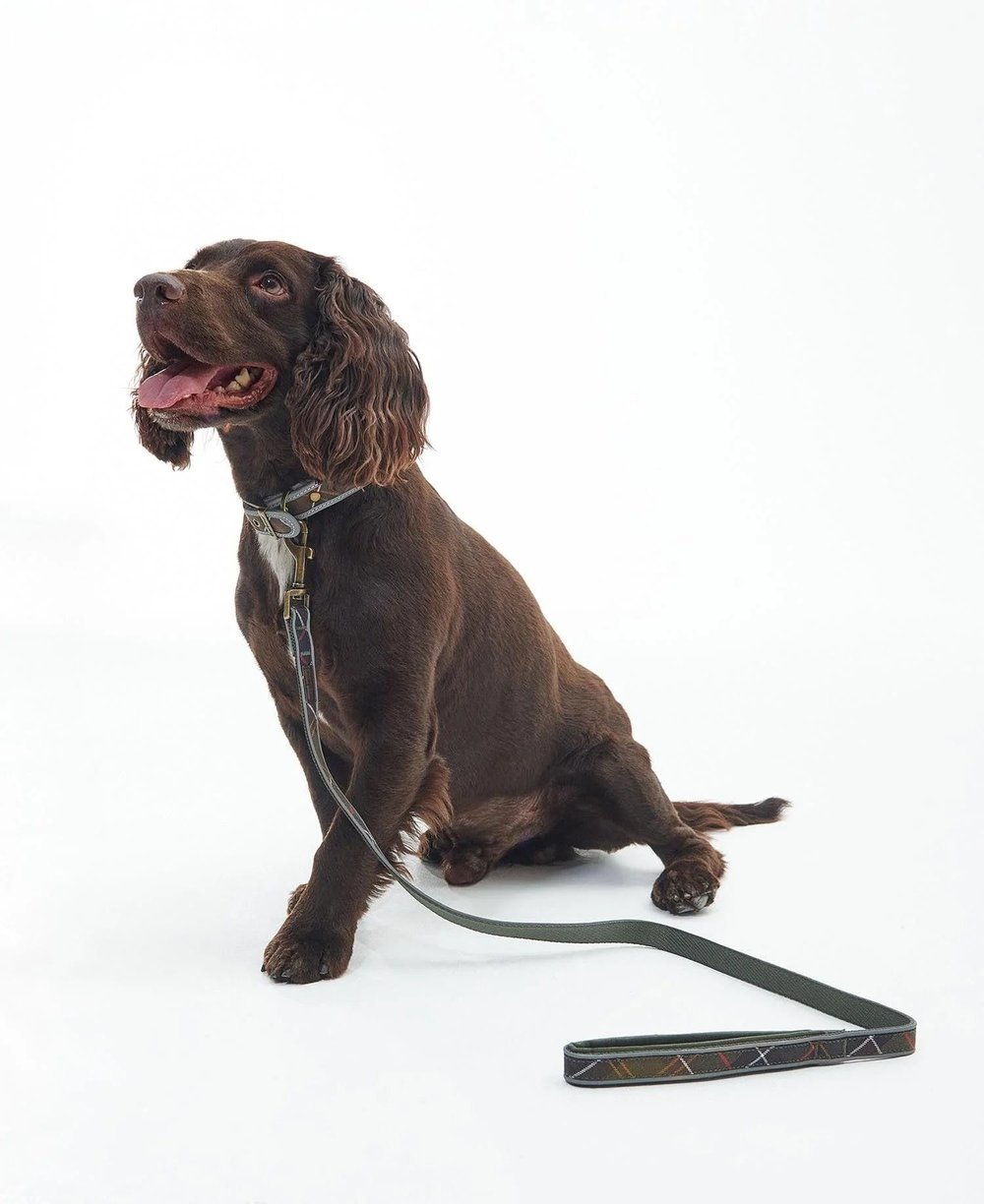 Barbour Reflective Tartan Comfort Köpek Tasması