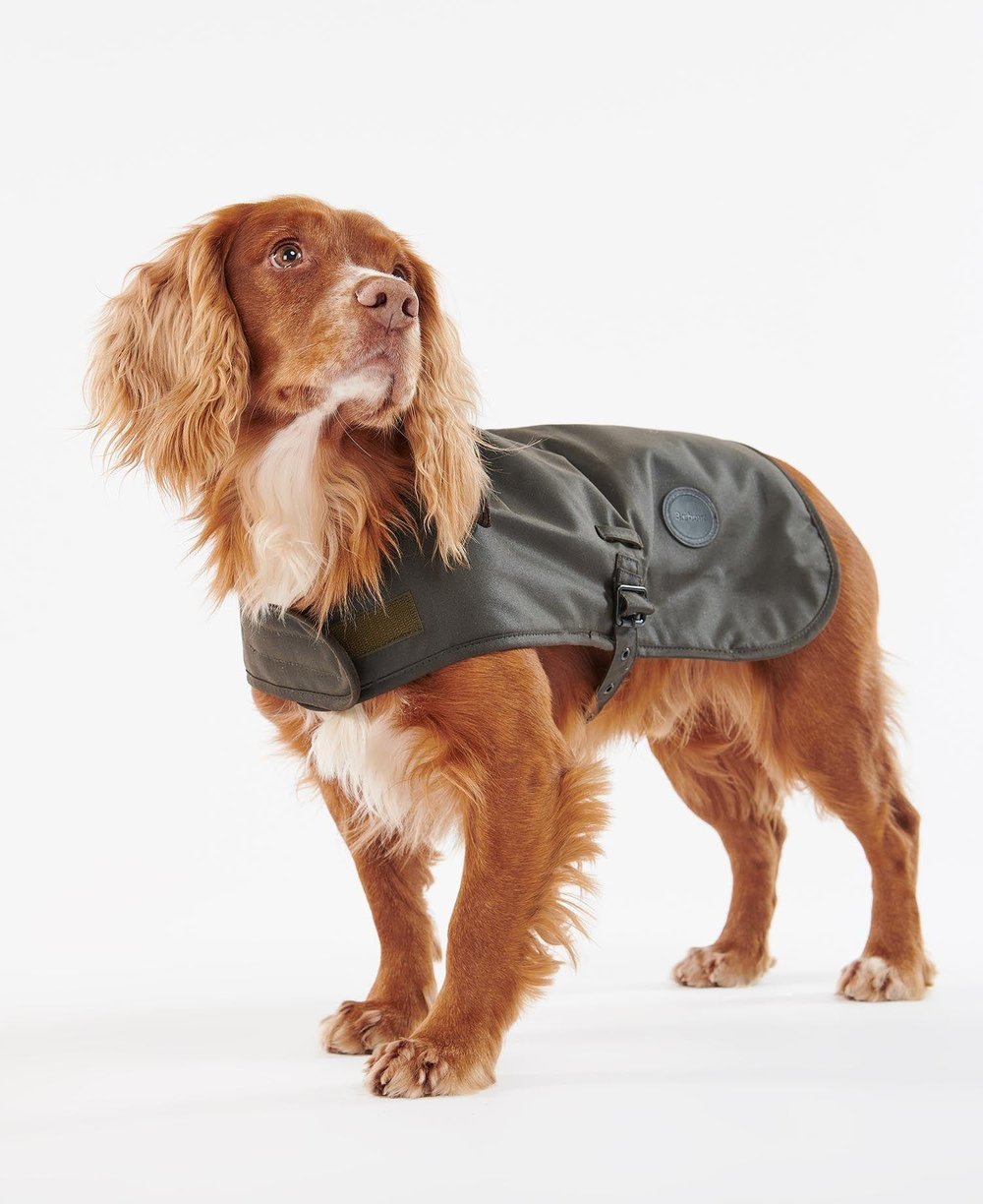 Barbour Shiny Yağlı Köpek Kıyafeti