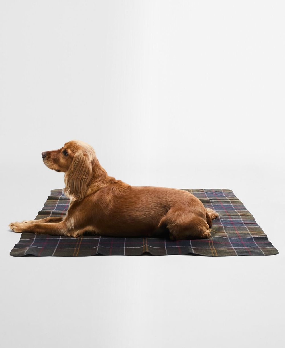Barbour Tartan Köpek Battaniyesi