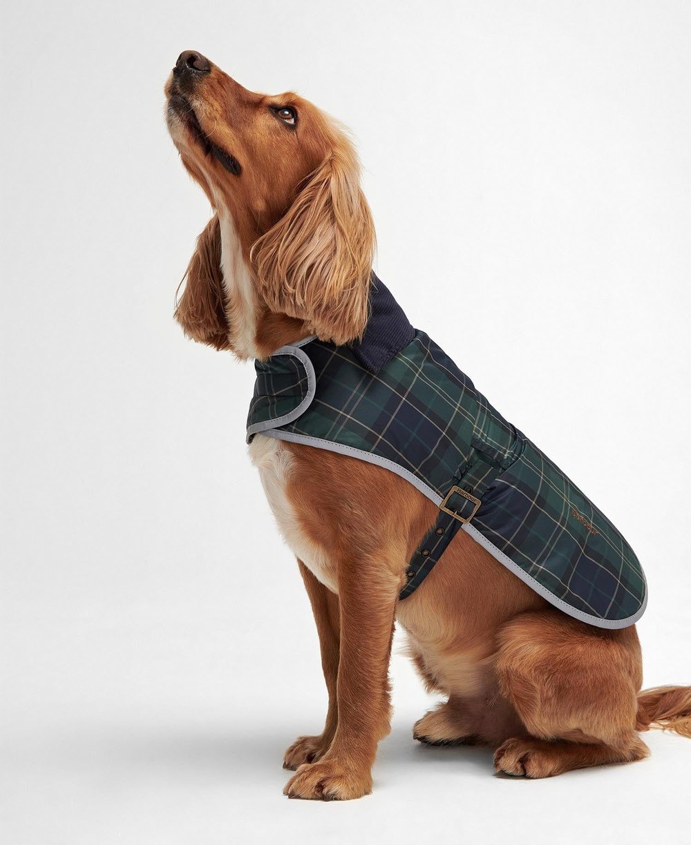 Barbour Wetherham Ekose Köpek Montu