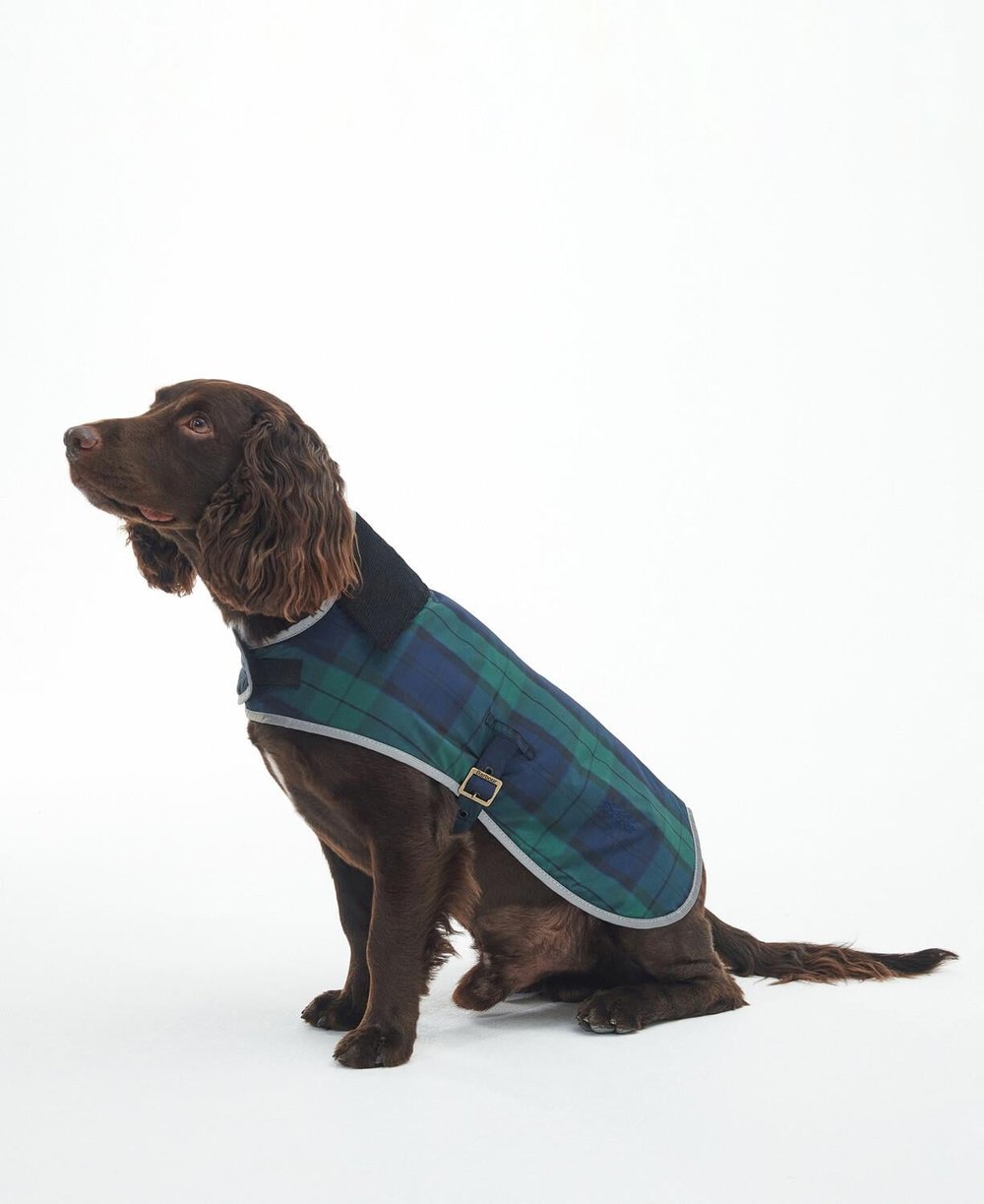 Barbour Wetherham Ekose Köpek Montu