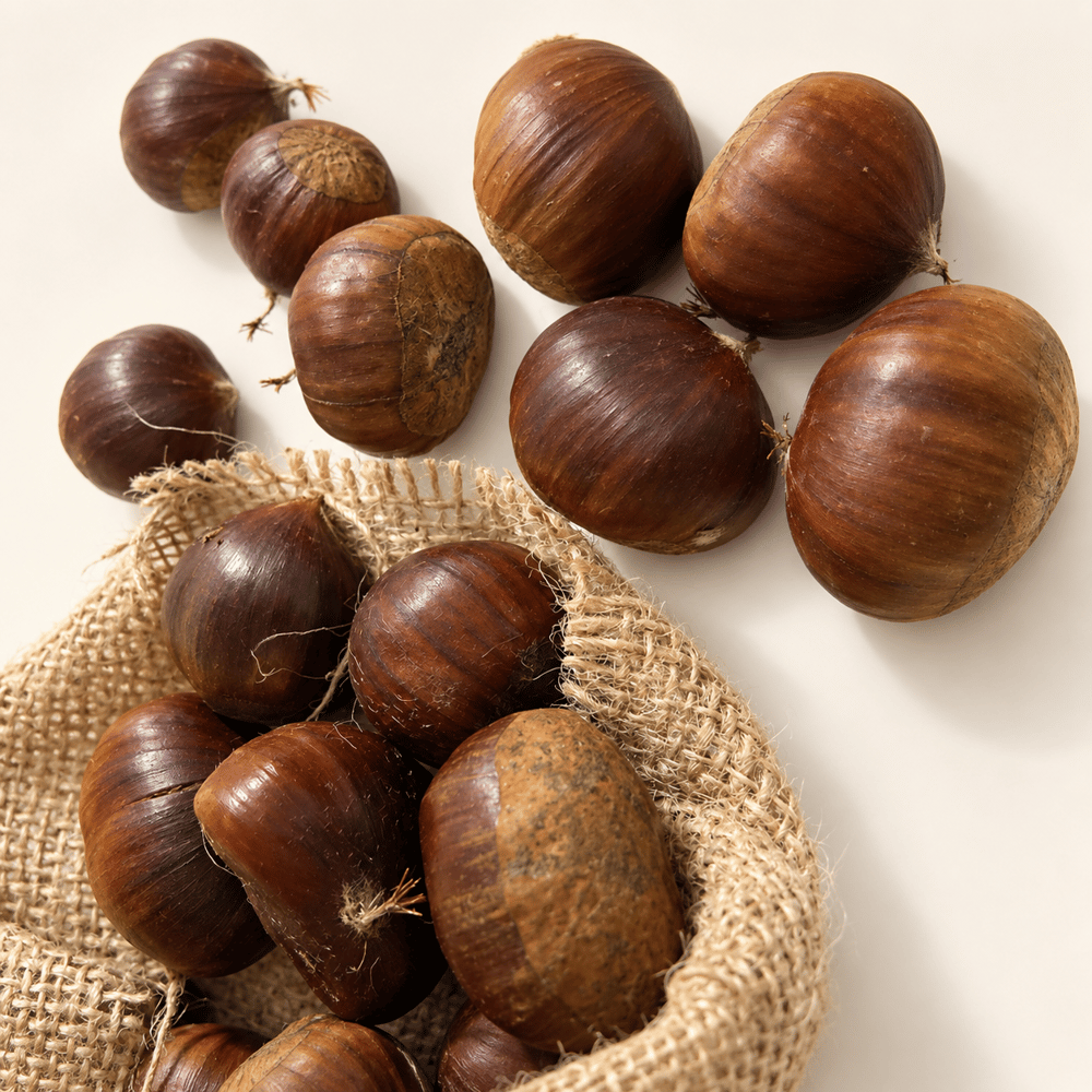 Kestane Jumbo