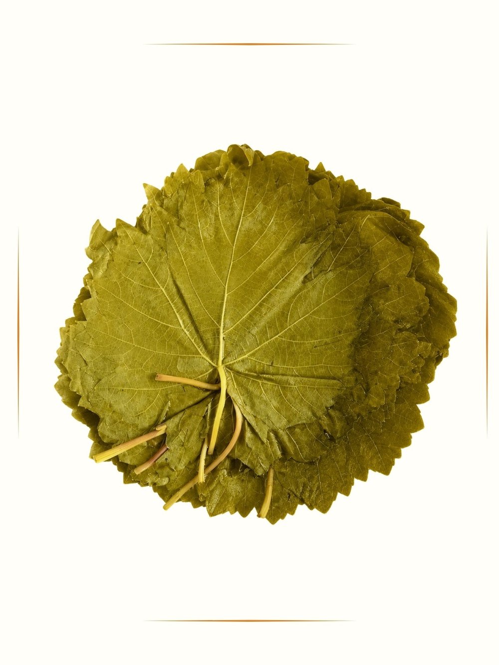 Salamura Yaprak 1 kg