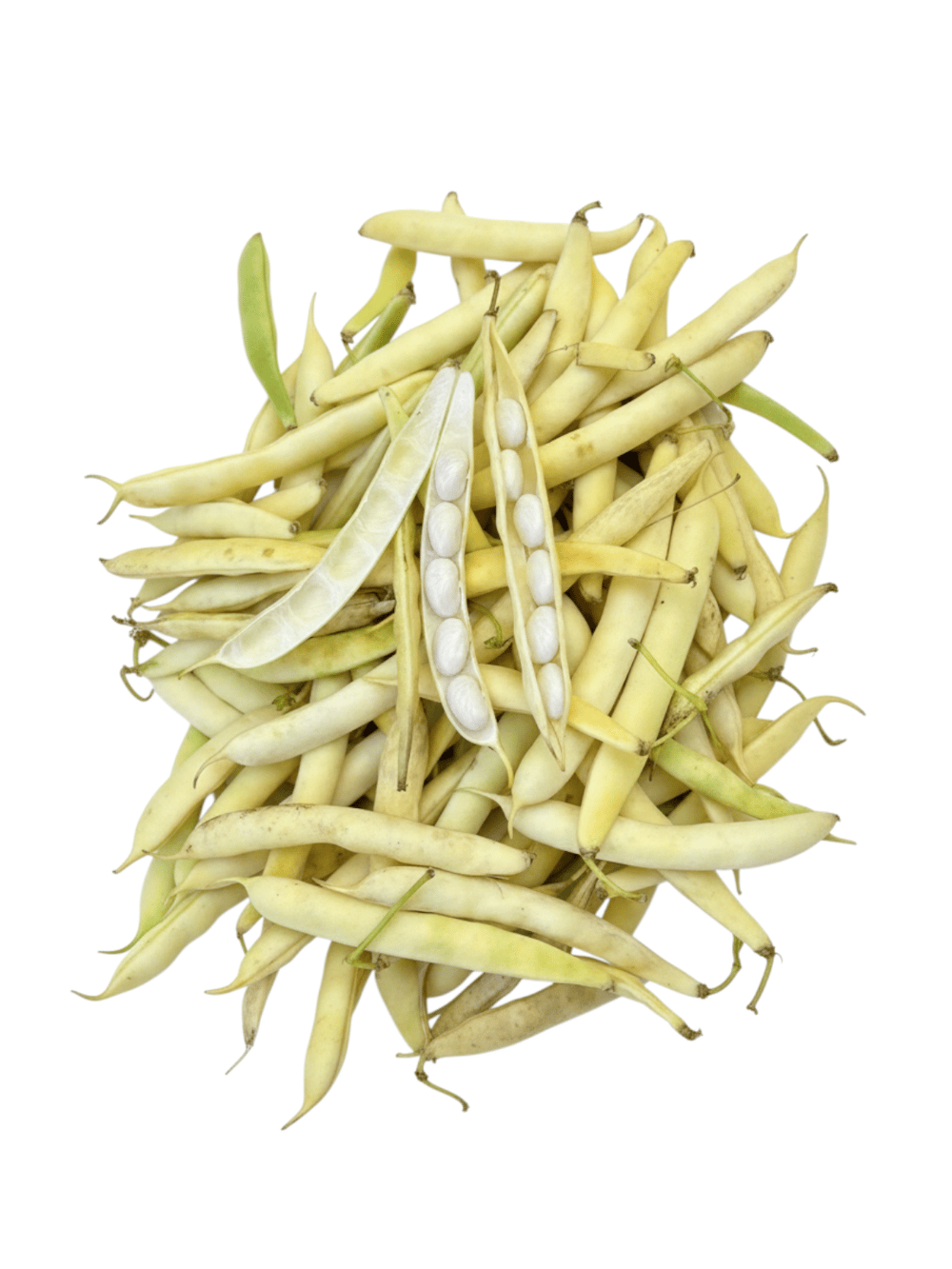 Şeker Fasulye Kabuklu 1kg