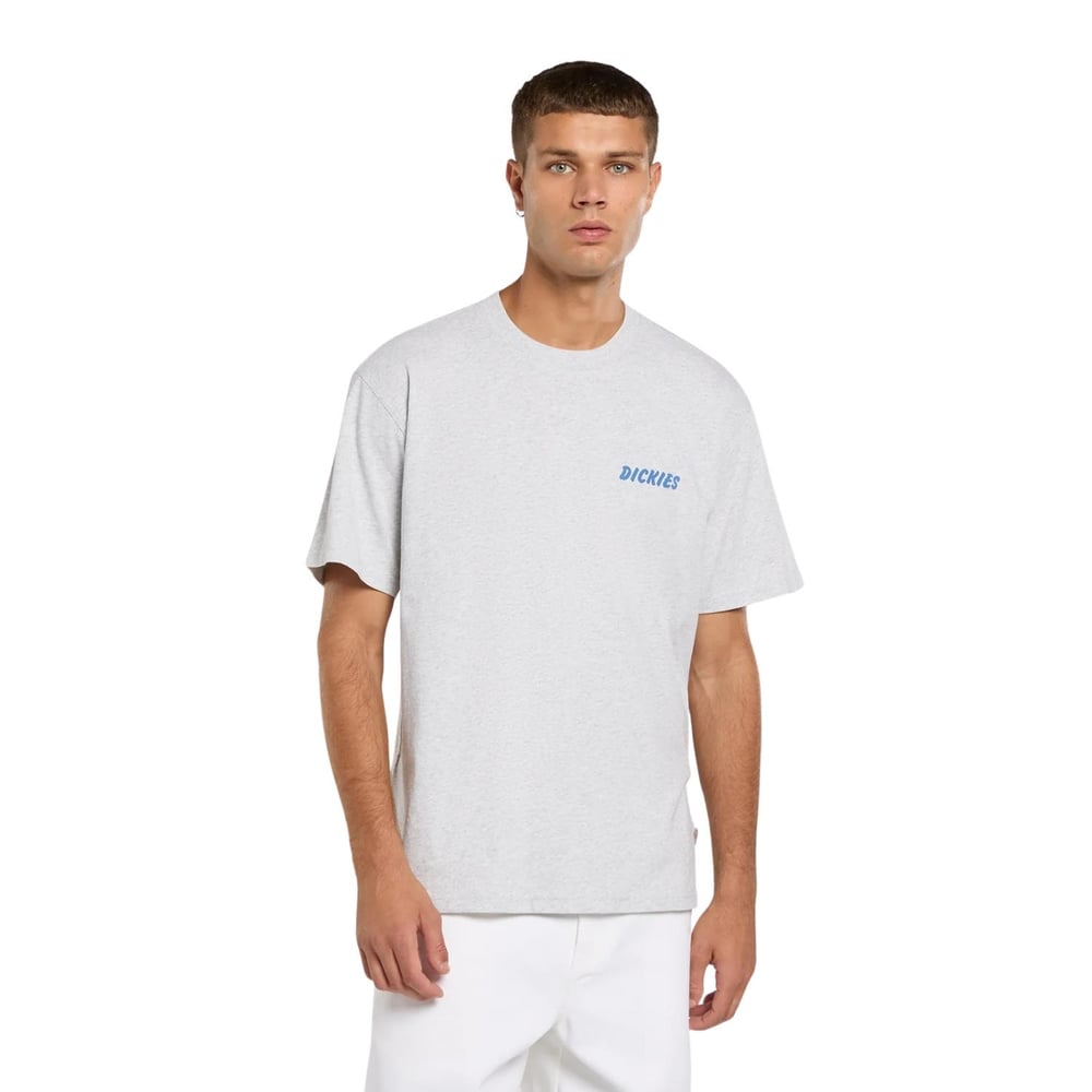 Dickies Dry Ridge Ss Tee T-shirt - DK0A8853A281