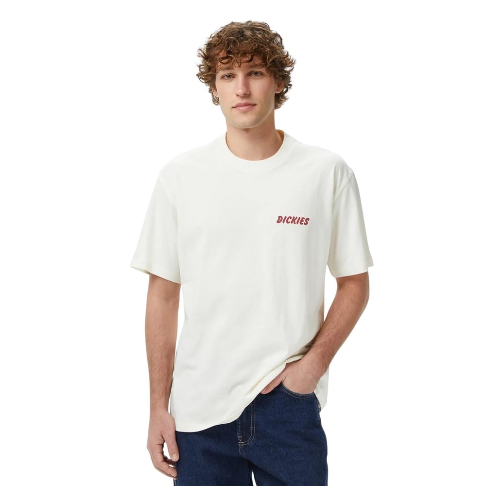 Dickies Dry Ridge Ss Tee T-shirt - DK0A8853C481