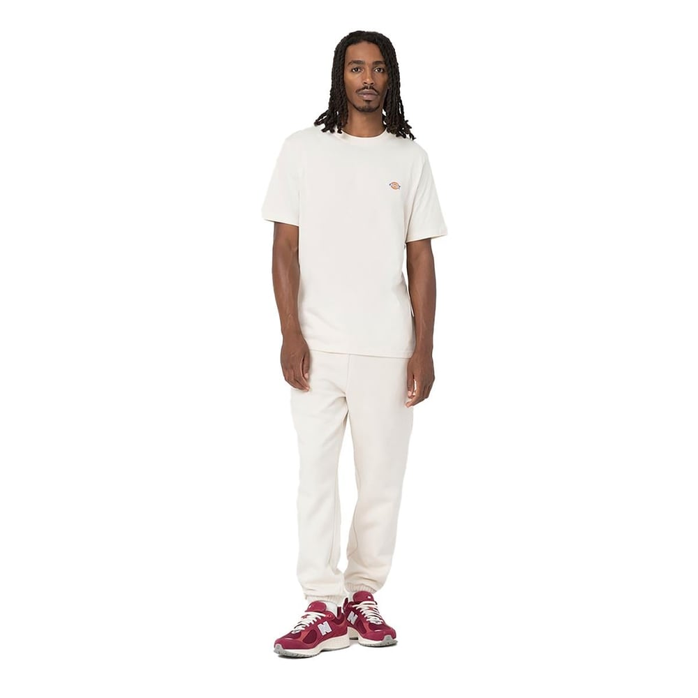 Dickies Mapleton SS Tee Erkek T-shirt - DK0A4XDBF901