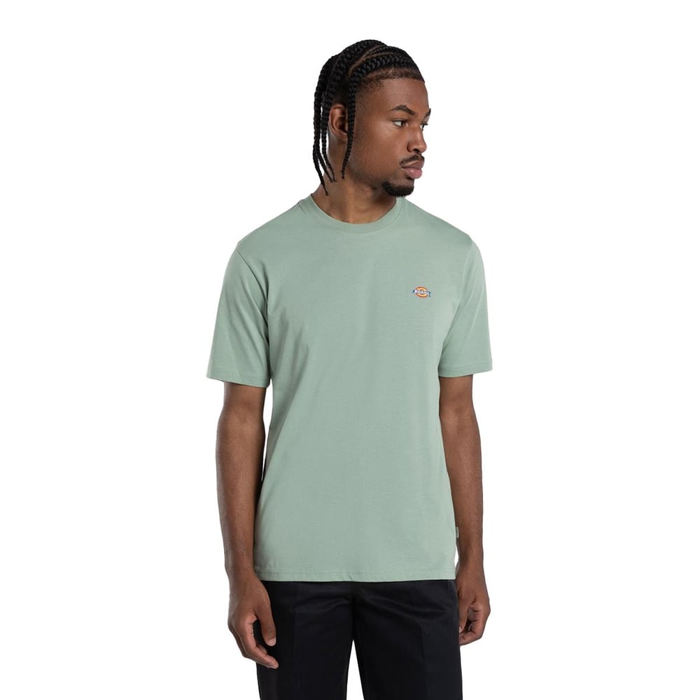Dickies Mapleton Ss Tee T-shirt - DK0A4XDBK361