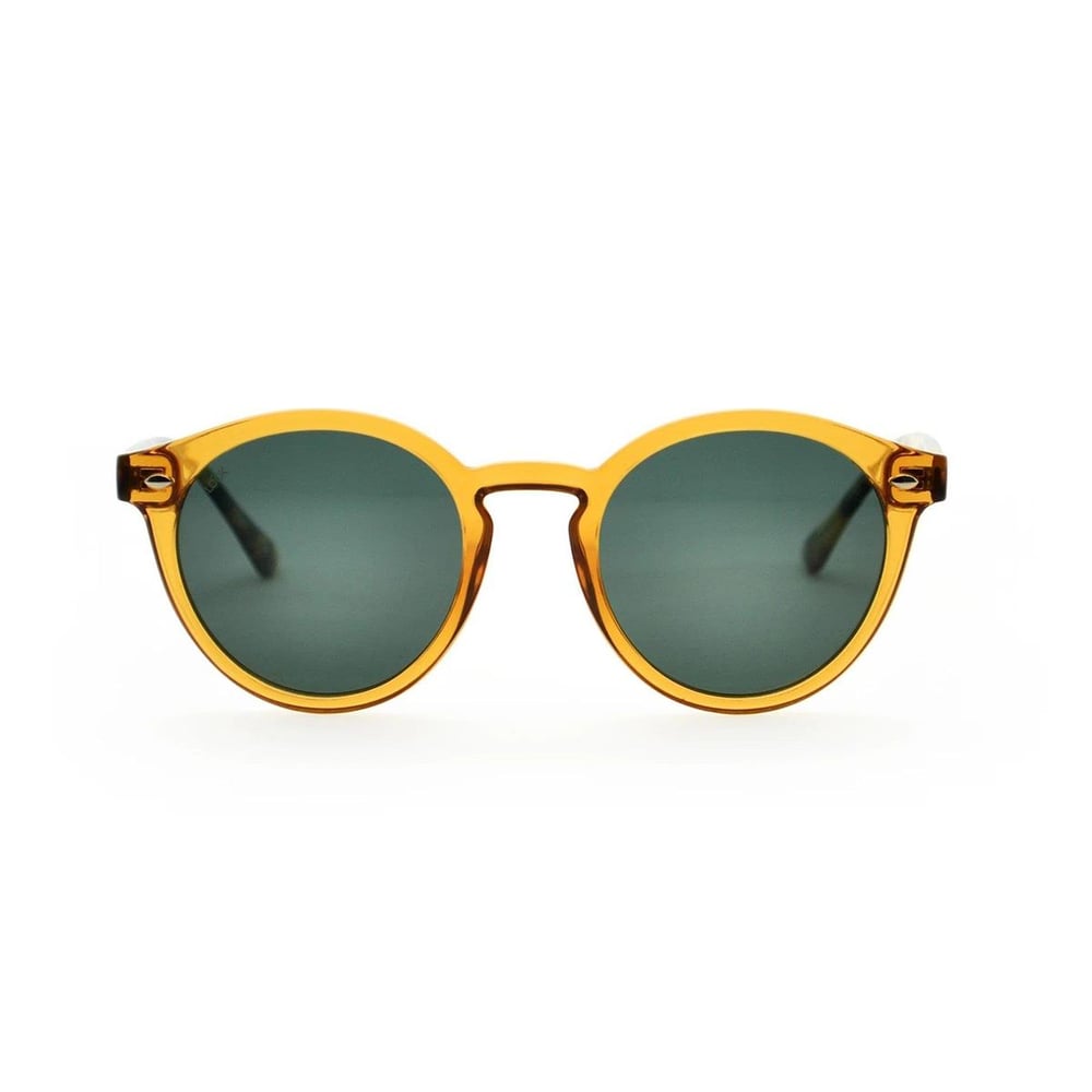 Looklight Letoon Bold Unisex Güneş Gözlüğü - LL8022 / B75 / G15
