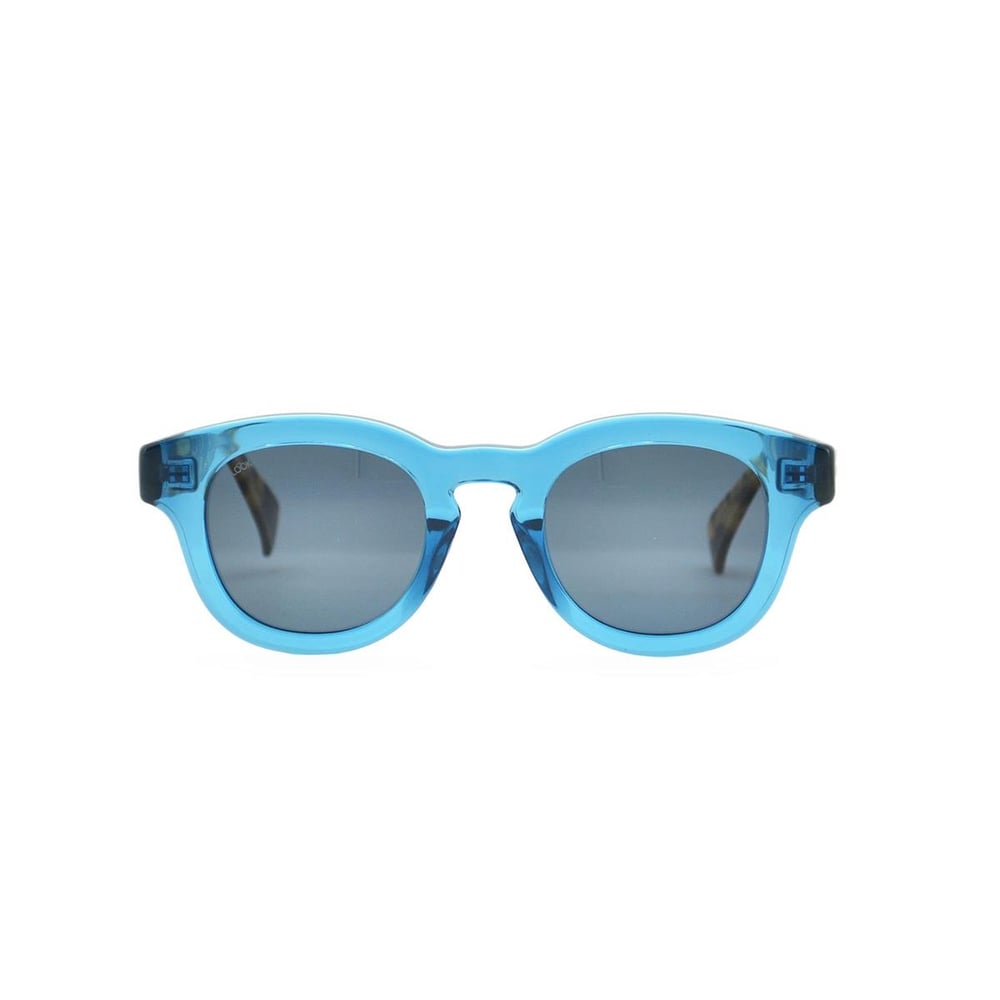 Looklight Pinus Unisex Güneş Gözlüğü - LL8009 / B195 / S10