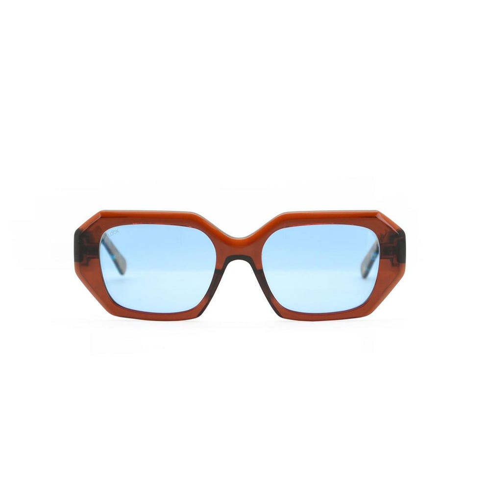 Looklight Salvia Unisex Güneş Gözlüğü - LL8010 / B28 / LB50