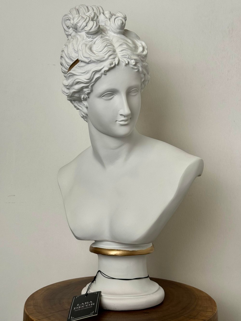 Diana Heykel