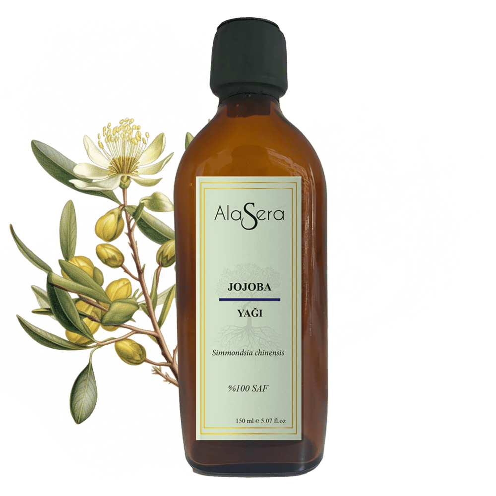 ALASERA JOJOBA YAĞI 150 ML