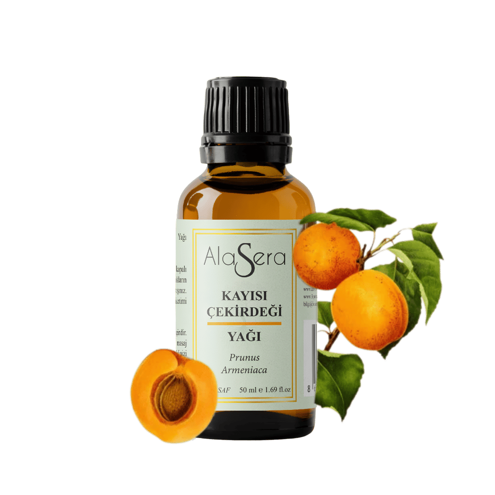 ALASERA KAYISI ÇEKİRDEĞİ 50 ML