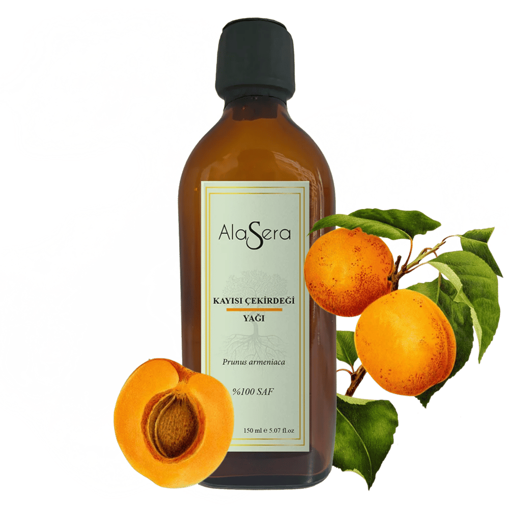 ALASERA KAYISI ÇEKİRDEĞİ YAĞI 150 ML