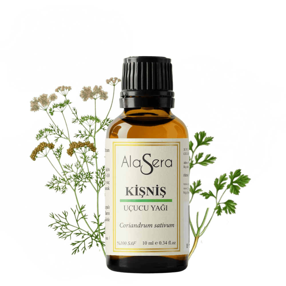 ALASERA KİŞNİŞ YAĞI 10 ML