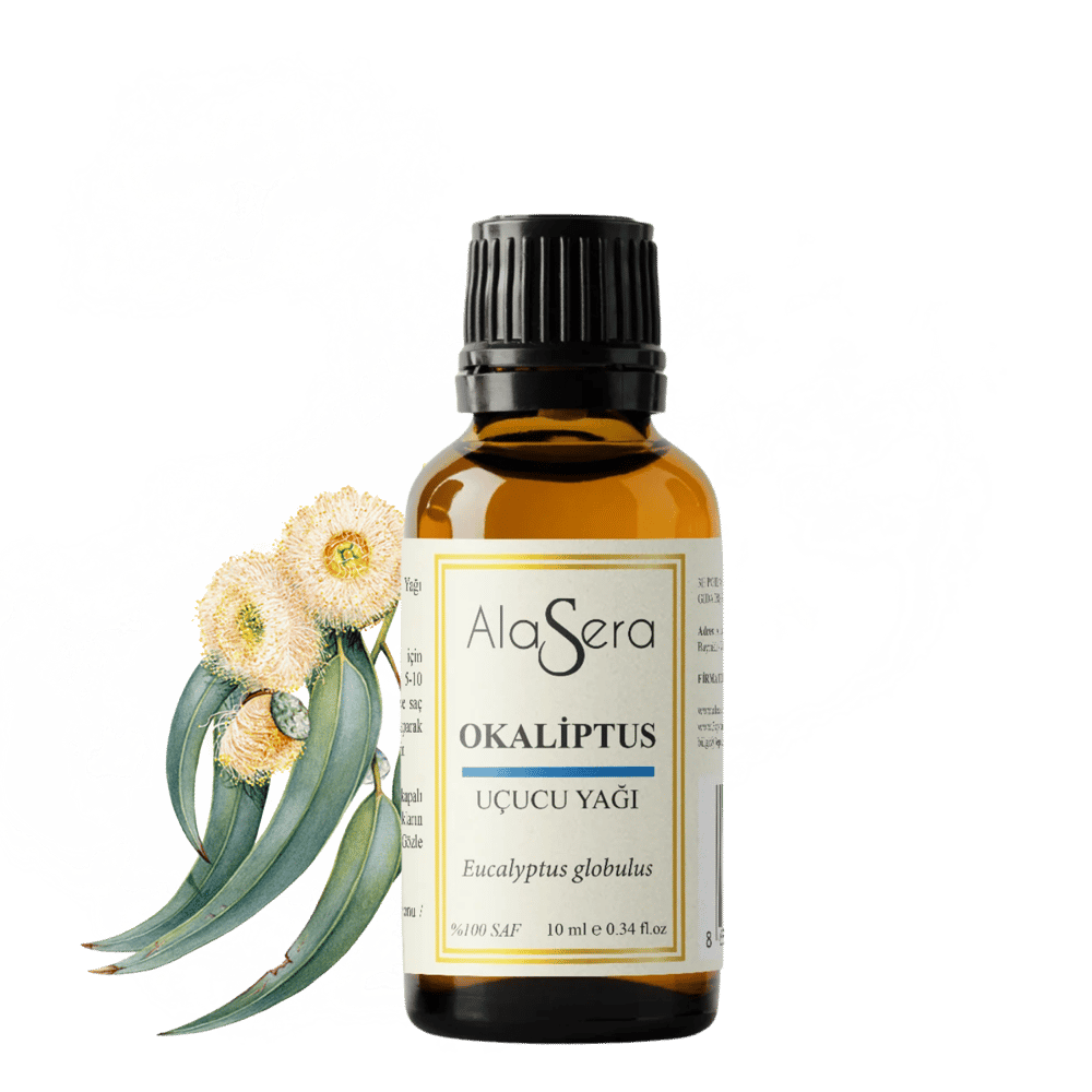 ALASERA OKALİPTUS 10 ML