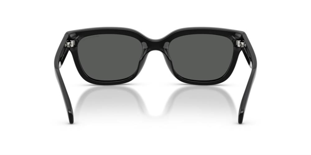 Armani Exchange AX4155SU 815887 Kadın Güneş Gözlüğü