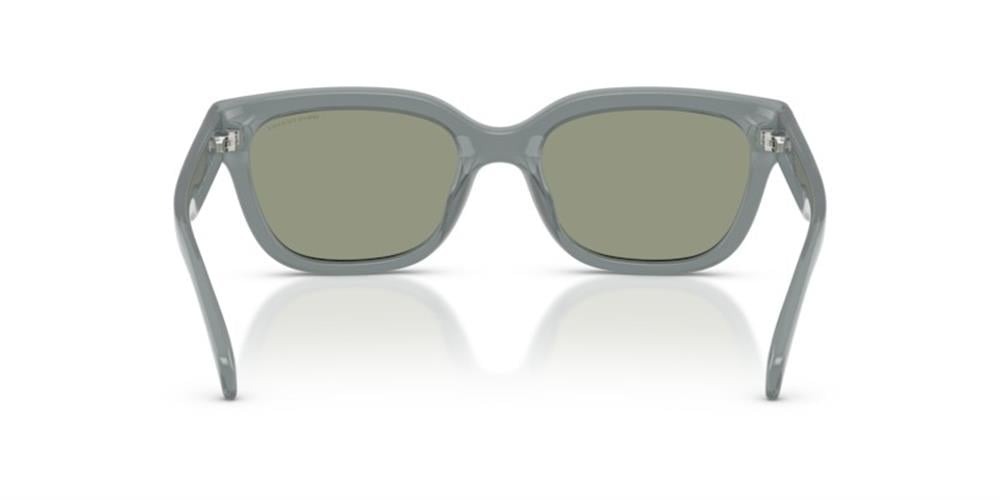 Armani Exchange AX4155SU 8375/2 Kadın Güneş Gözlüğü