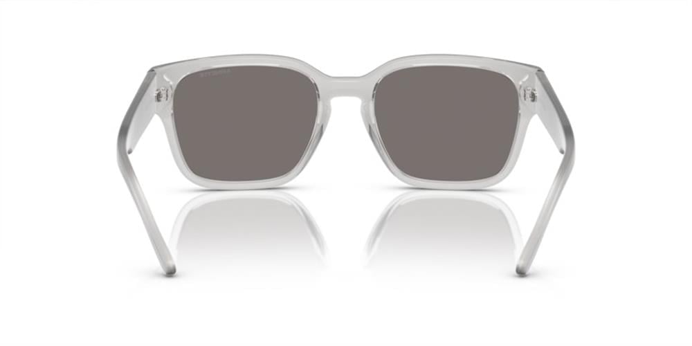 Arnette AN4325 28586G 54 Unisex Güneş Gözlüğü