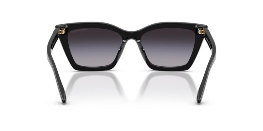 Emporio Armani 0EA4250U 50178G 54 Asetat Kadın Güneş Gözlüğü