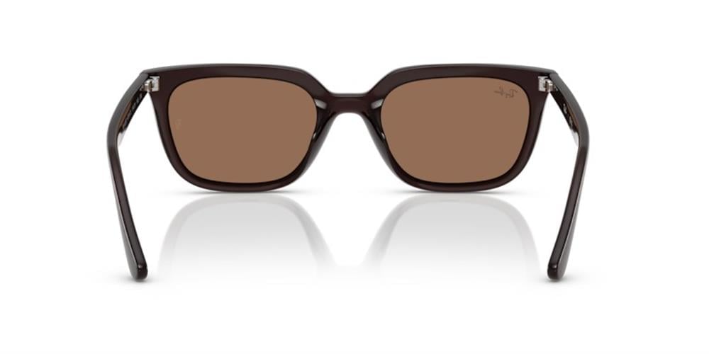 Ray-Ban 0RB4439D 623173 54 PROPİONAT UNISEX Güneş Gözlüğü