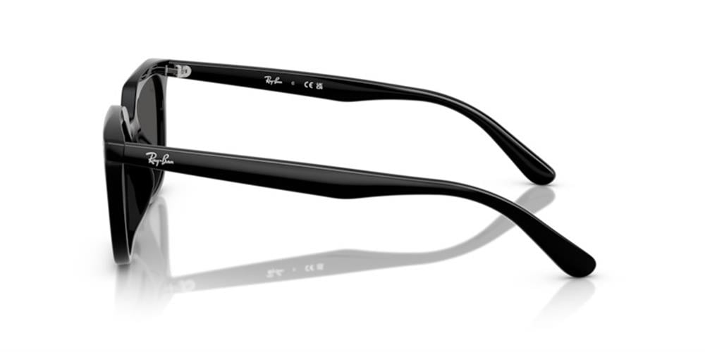 Ray-Ban 0RB4439D 901/87 54 PROPİONAT UNISEX Güneş Gözlüğü