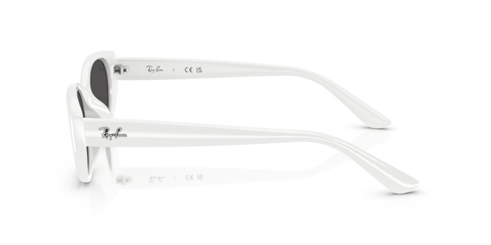 Ray-Ban Rb4457D 677287 Unisex Güneş Gözlüğü