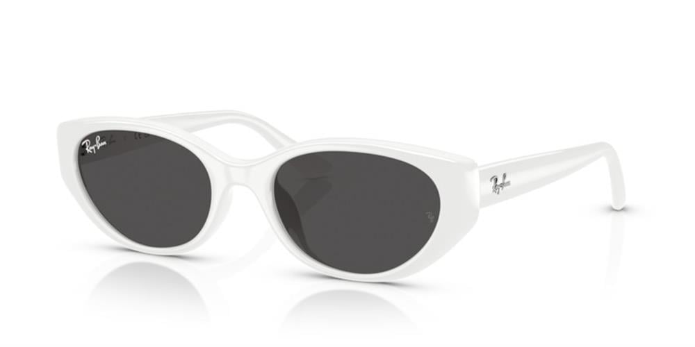 Ray-Ban Rb4457D 677287 Unisex Güneş Gözlüğü