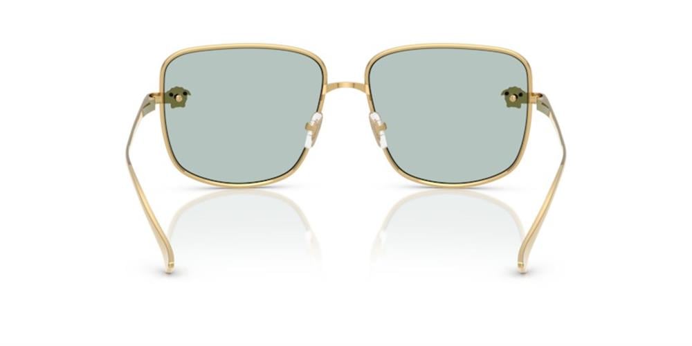 Versace VE2282 10029C Kadın Güneş Gözlüğü