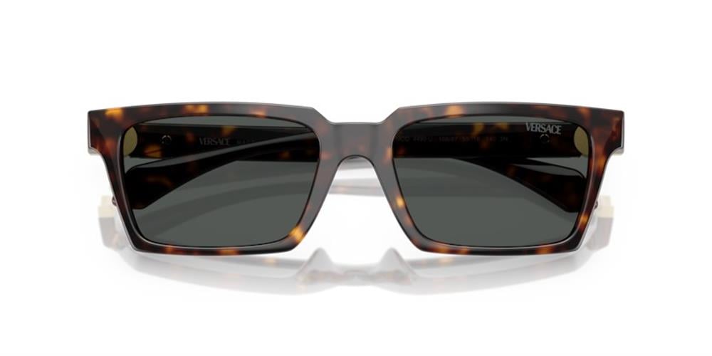 Versace 0VE4490U 108/87 55 Enjeksiyon Erkek Güneş Gözlüğü