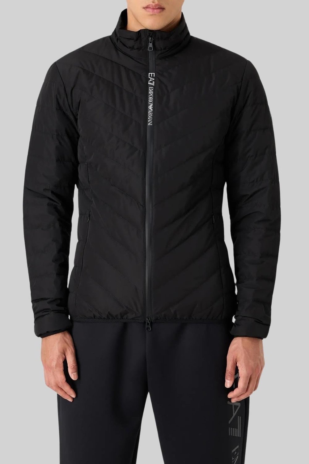 Emporio Armani Erkek Ceket Siyah 01D