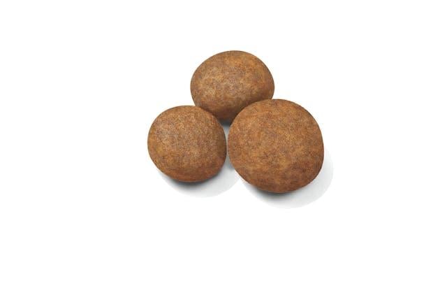 Royal Canin Maxi Puppy 15 Kg