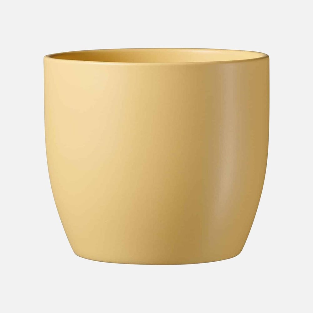 Basel Spring Saksı Sarı 13 cm