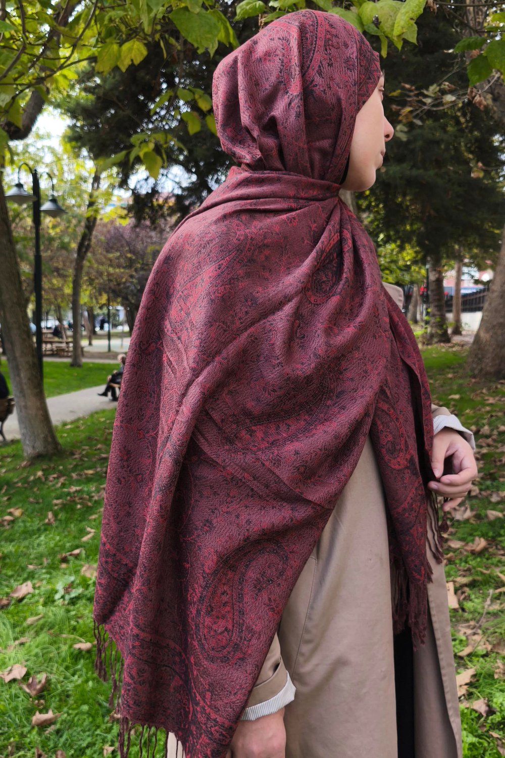 Islamabad Pashmina Şal