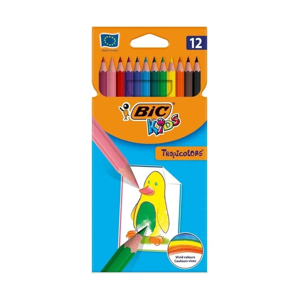 Bic-Bic Kuru Boya Tam Boy 12 Renk Tropik Renkli 