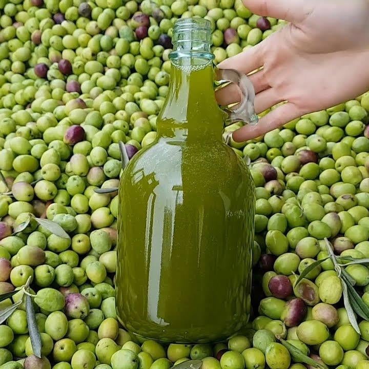 TAŞ BASKI ZEYTİNYAĞI