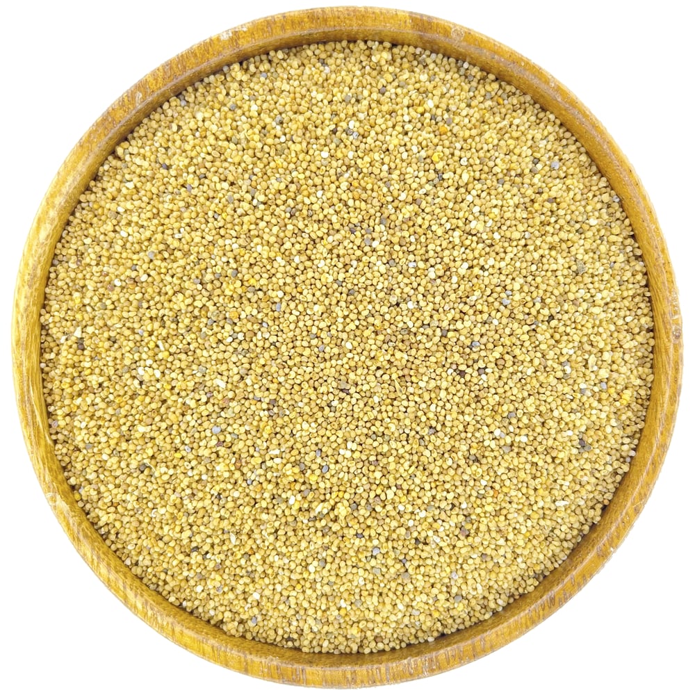 sari-hashas-tohumu-35029f.png