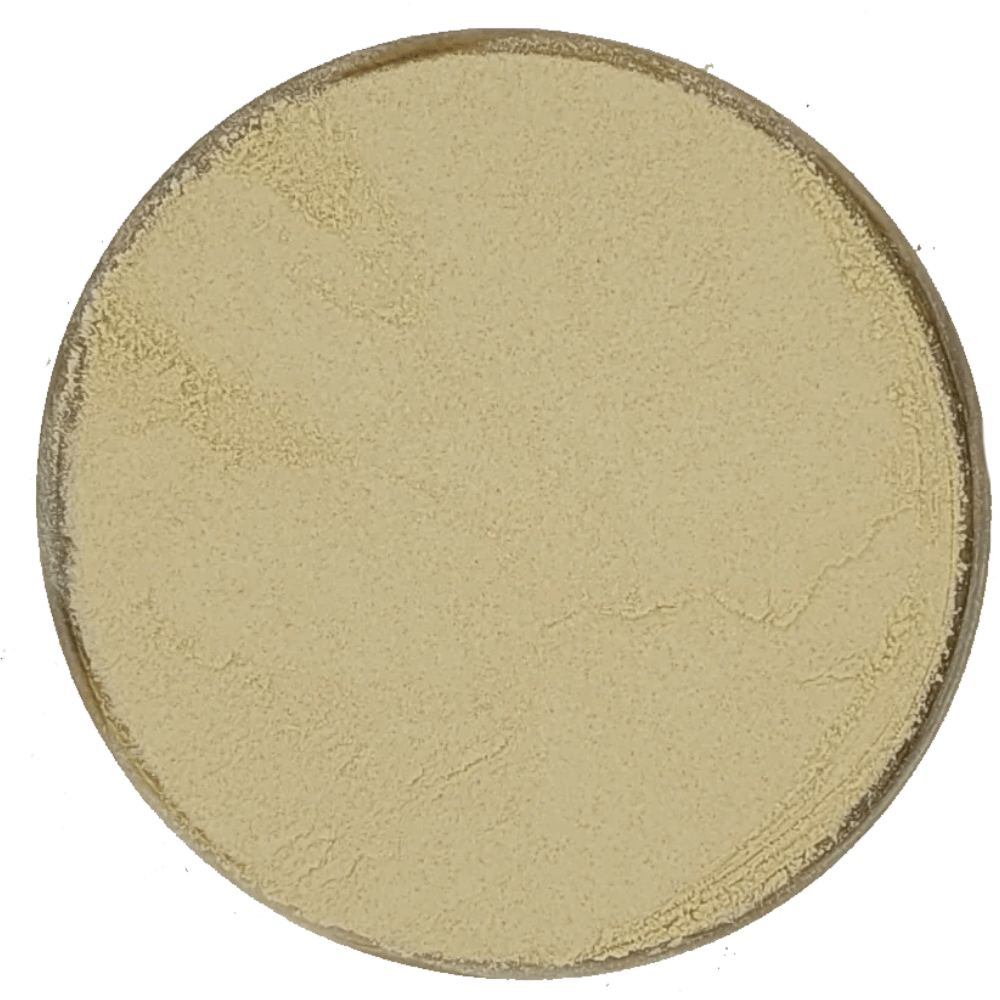 TOZ KARNIYARIK OTU TOHUMU ( PSLLİUM ) 100 g