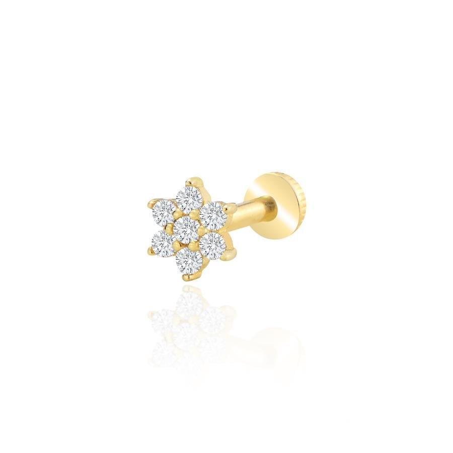 Iriséa Zirkon Piercing