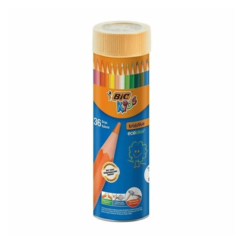 BIC KURUBOYA EVOLUTION 36'LI TÜP 968491